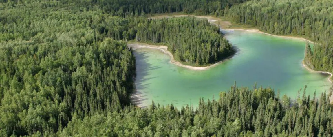 Nine Canadian Forests You Can See Right Now and Forever