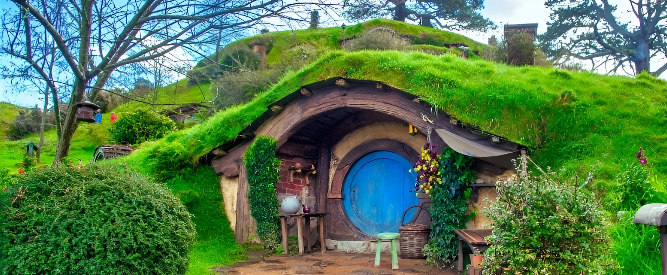 Tours in New Zealand