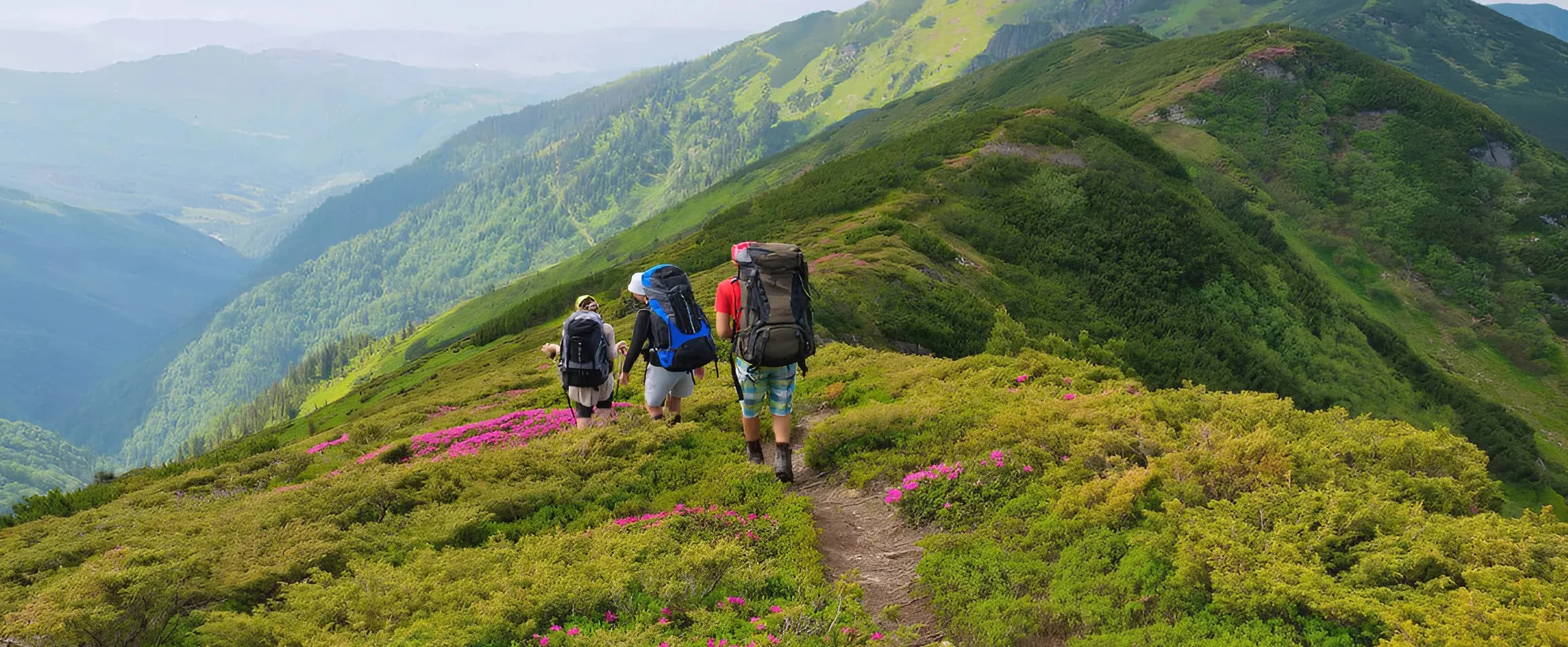 Places to Visit in June